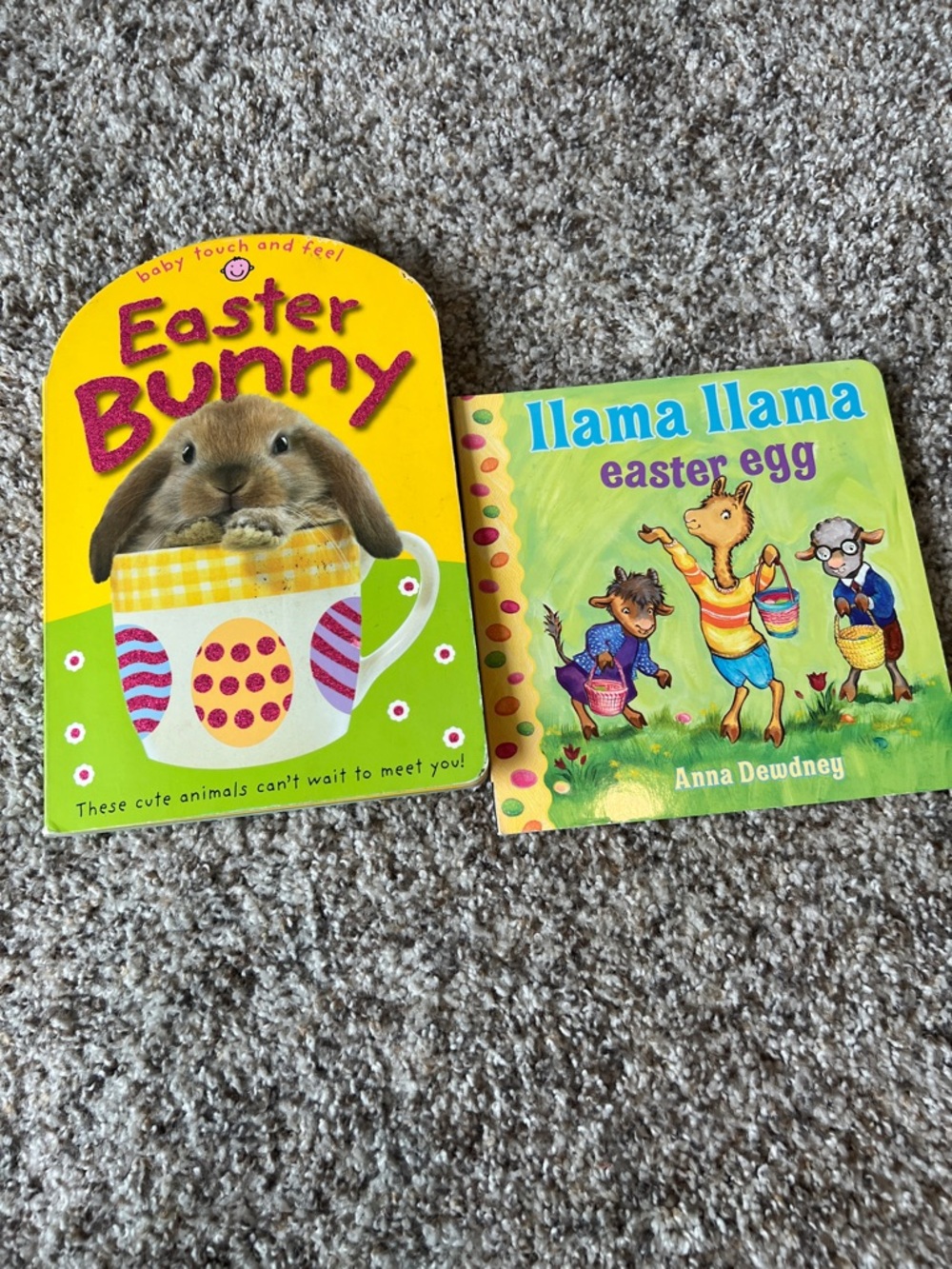 Easter Bunny Baby Touch & Feel Board Book (Book bundle)